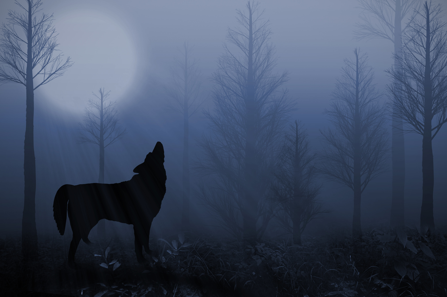 Howling Wolf in the Forest
