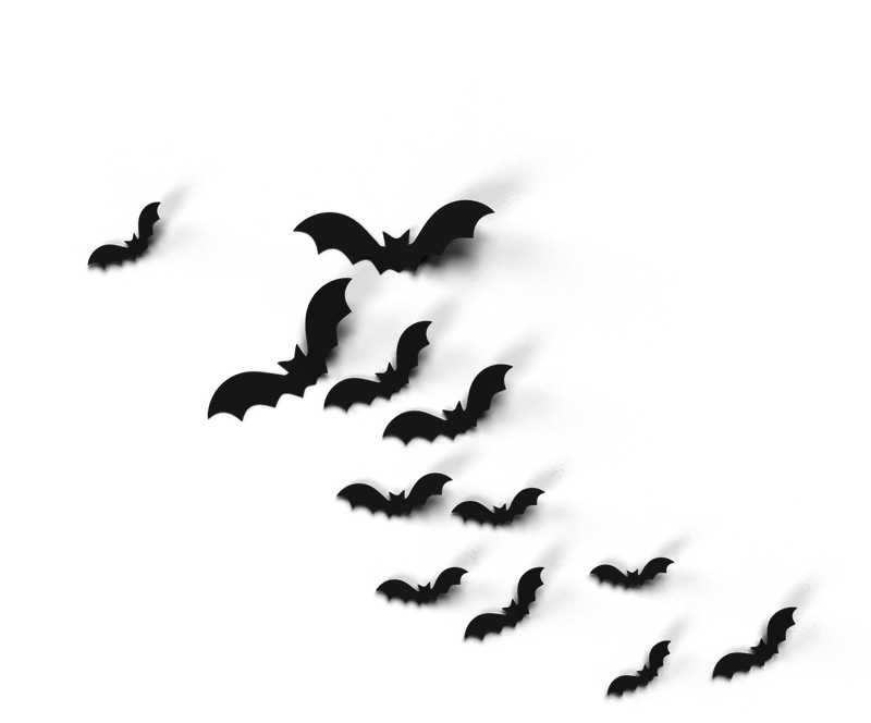 bat, halloween, vampire, horror, wing, animal